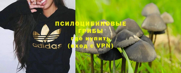 каннабис Алексеевка