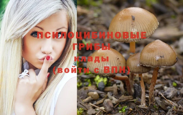каннабис Алексеевка